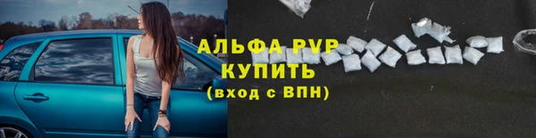 твердый Абаза