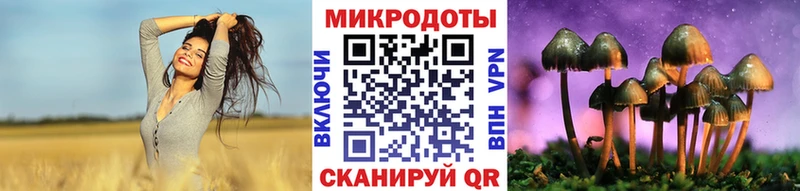 Псилоцибиновые грибы Psilocybine cubensis  Донской 